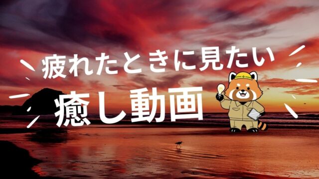 疲れたときに見たい おすすめ 癒し動画 ストレス解消 号泣特集 コバッチ 電気ブログ 疲れたときに見たい おすすめ 癒し動画 ストレス解消 号泣特集 コバッチ 電気ブログ