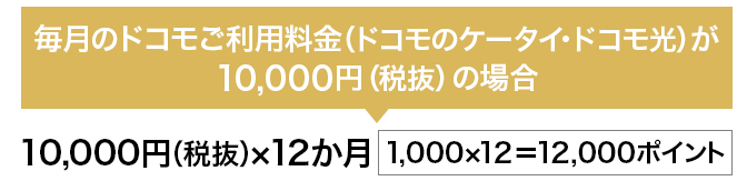 ドコモ光のクレカ払いのポイント例