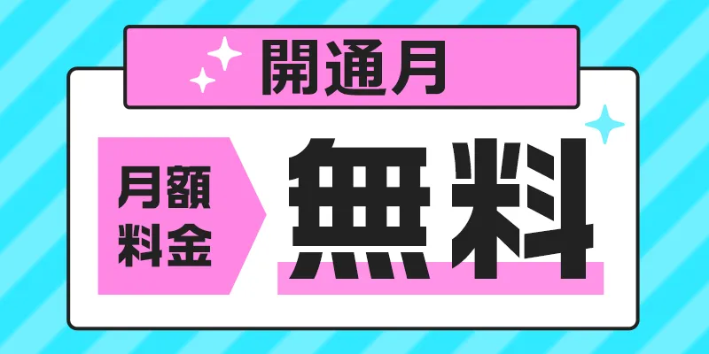 ピカラ光正規代理店NEXT限定開通月の月額料金無料